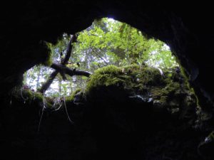 Grotte - Forêt des trolls