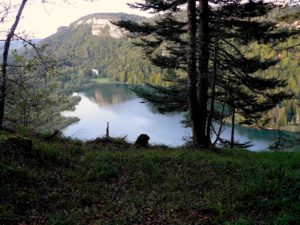 Point de vue sentier des lacs