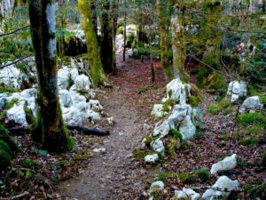 Sentier Karstique - Forêt des trolls
